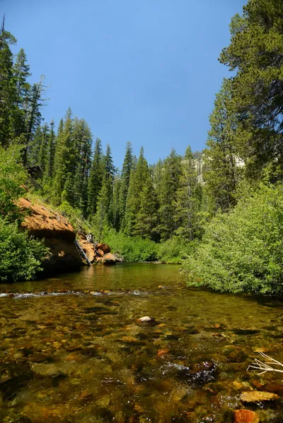 DSC_0234 (Large).JPG